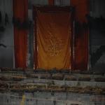 Vraj-Yatra-2014- (1862)